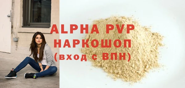 хмурый Горняк