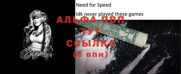 хмурый Горняк