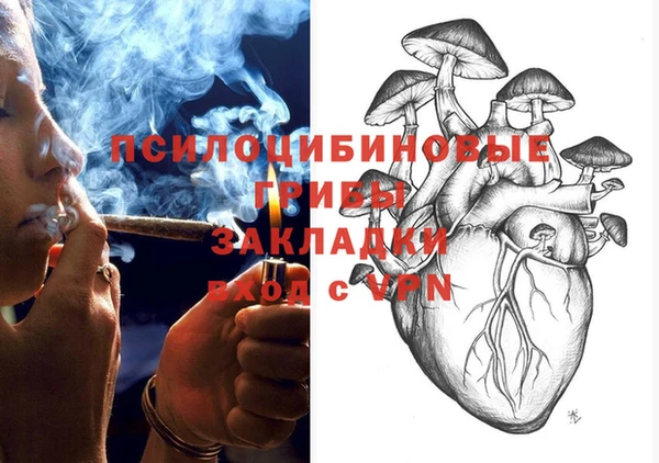 хмурый Горняк