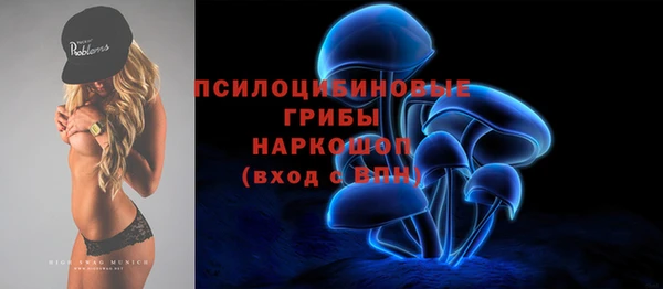 хмурый Горняк