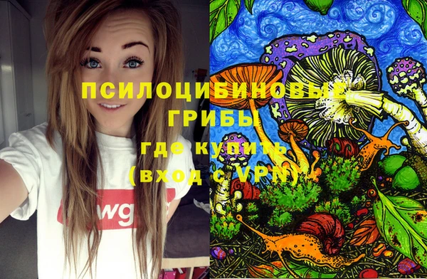 ешки Горно-Алтайск