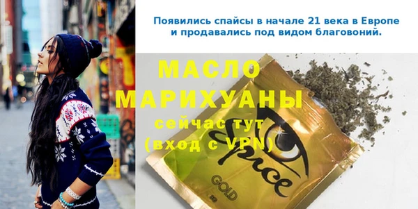 хмурый Горняк